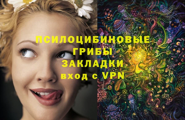 ешки Алексин